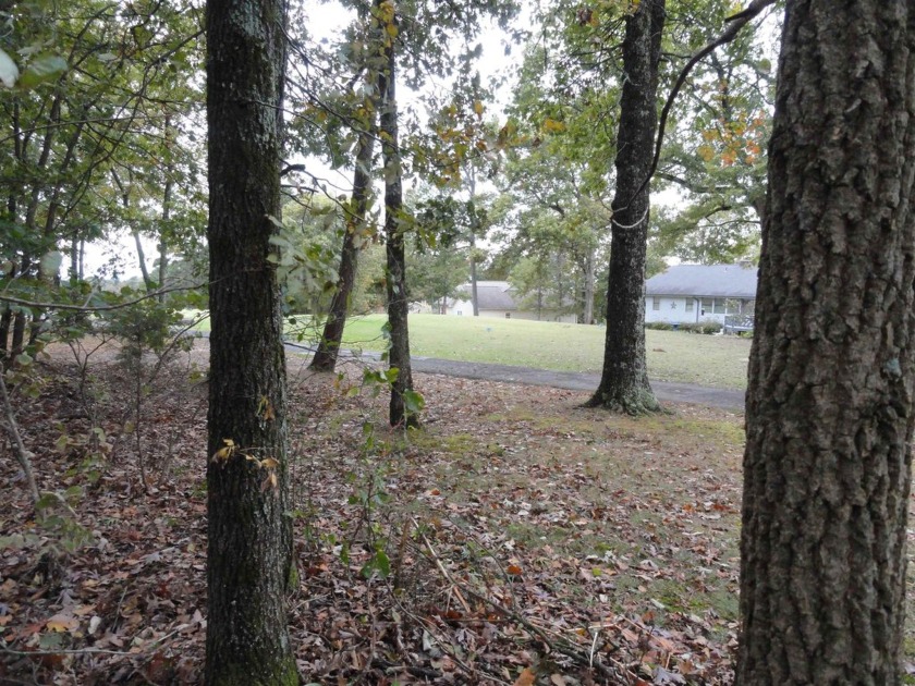 1 vacant double lot for sale, ready for your new home, joining - photo 10