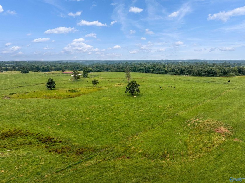 Discover the possibilities with this exceptional 70-acre farm, a - photo 12