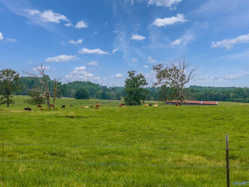 Discover the possibilities with this exceptional 70-acre farm, a - photo 14