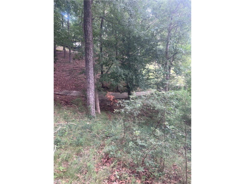 Don't miss your opportunity to own a very reasonably priced - photo 13