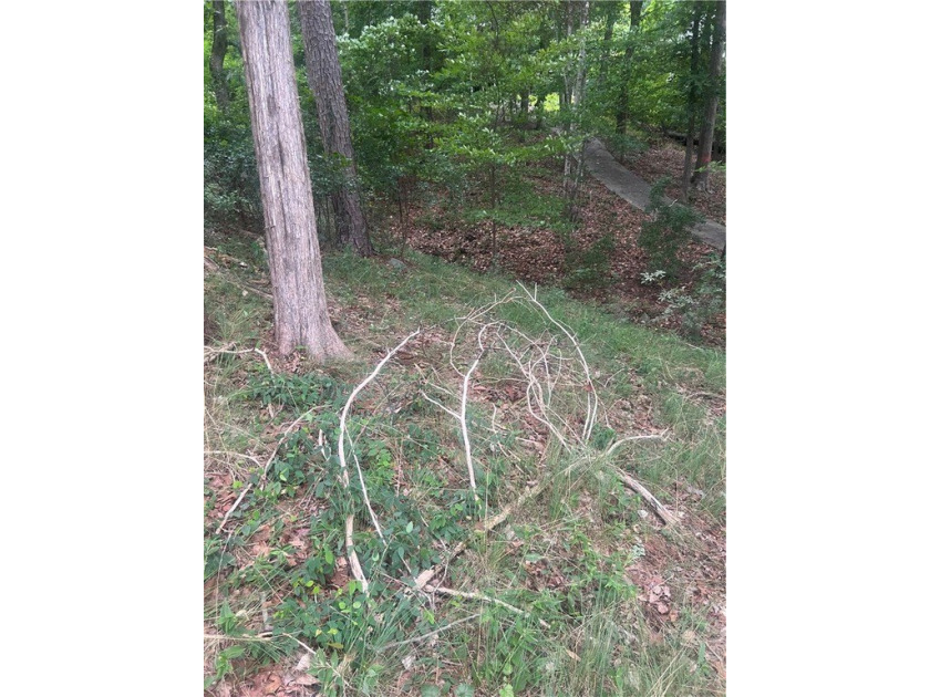 Don't miss your opportunity to own a very reasonably priced - photo 17