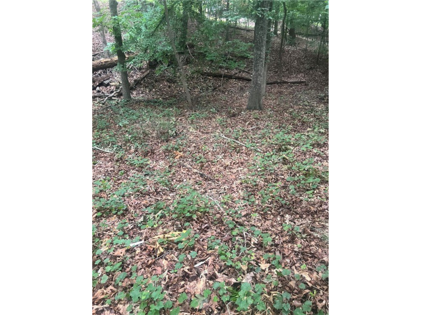 Don't miss your opportunity to own a very reasonably priced - photo 19