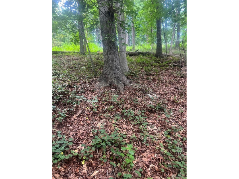 Don't miss your opportunity to own a very reasonably priced - photo 20