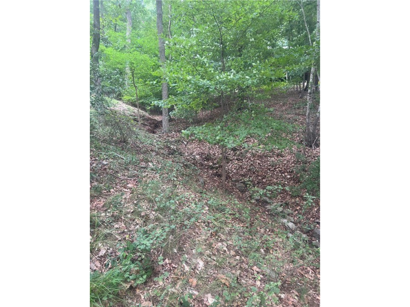 Don't miss your opportunity to own a very reasonably priced - photo 25