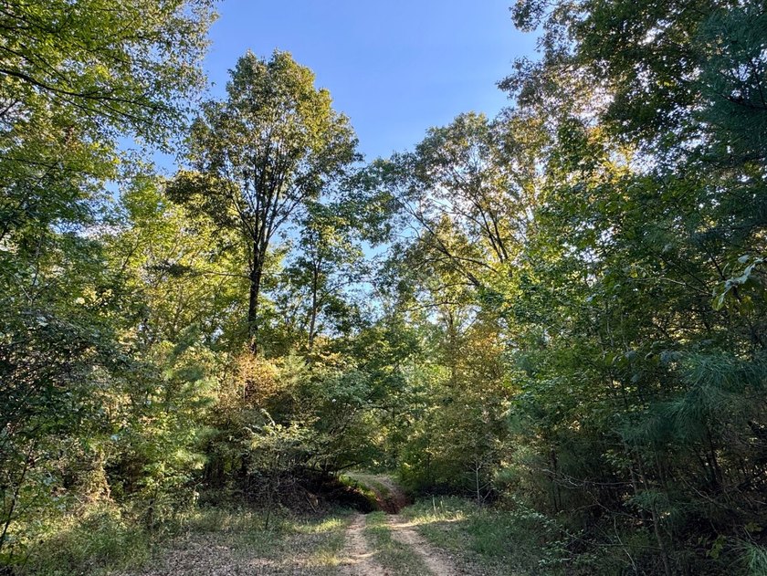 Located just a few miles east of Furman at the intersection of - photo 5