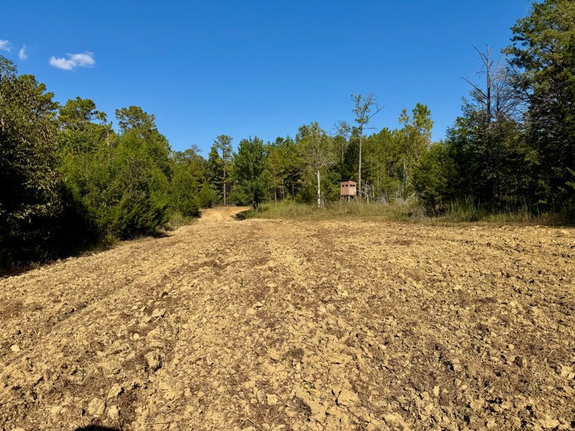 Located just a few miles east of Furman at the intersection of - photo 7