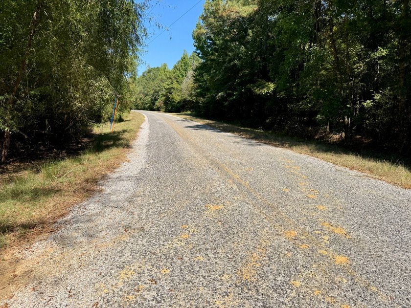 Located just a few miles east of Furman at the intersection of - photo 8