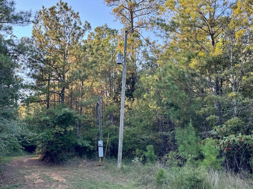 Located just a few miles east of Furman at the intersection of - photo 9