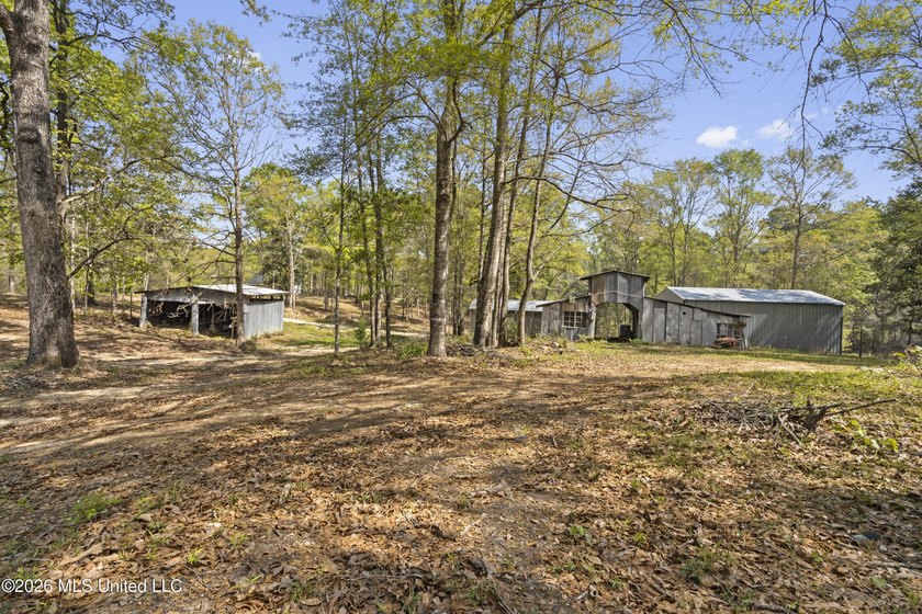 Charming 2-bedroom, 2-bath home on 7.55 acres, built in 2025 - photo 38