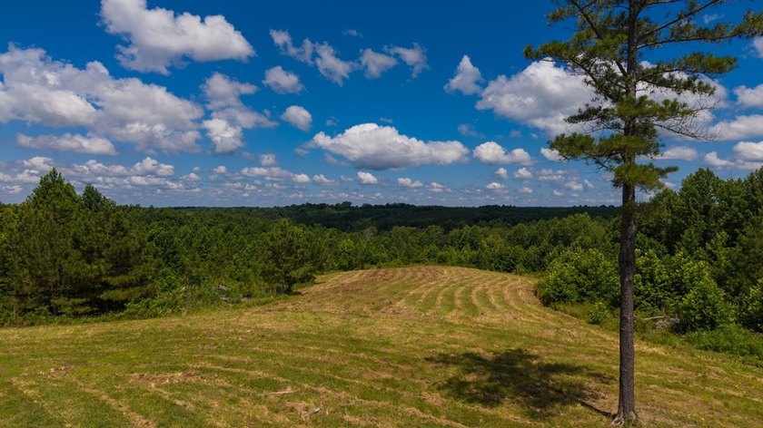 Nestled in the scenic hills of Stewart County, this property - photo 3