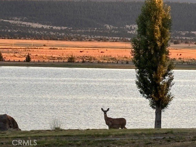 Lake View Dr - photo 17