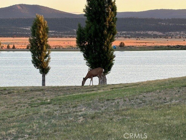 Lake View Dr - photo 18