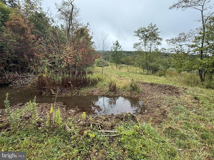 OWN A PIECE OF WEST VIRGINIA! 2.04 (UNRESTRICTED) ACRES. ONLY A - photo 22