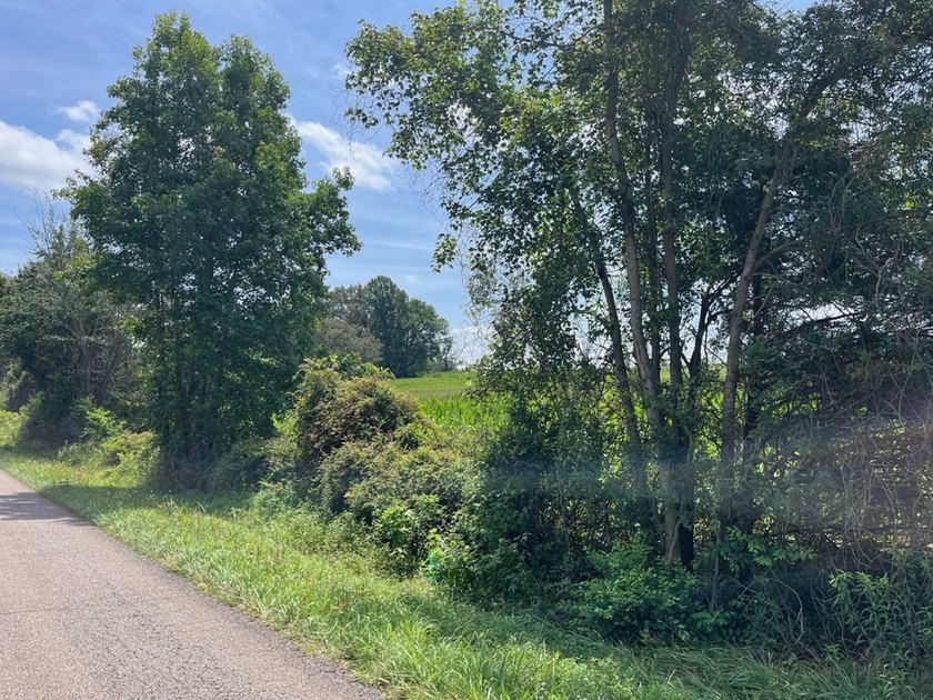 Don't miss your chance to own this 96.3+- acres of prime - photo 6