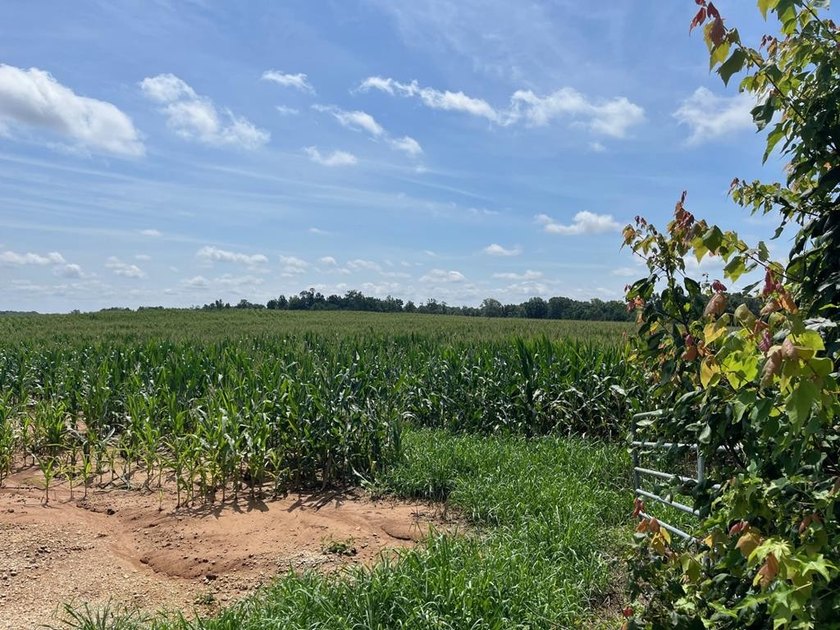 Don't miss your chance to own this 96.3+- acres of prime - photo 10