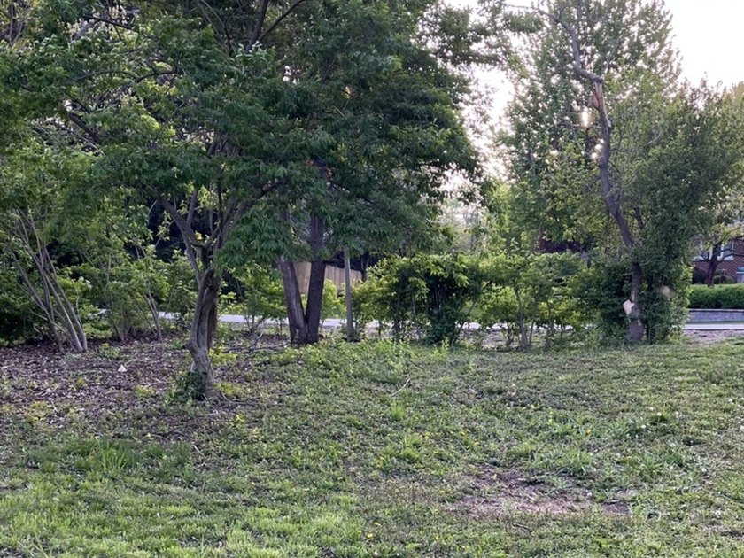 17 E Lyncliff Dr - photo 6