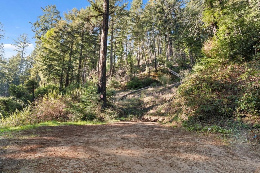 Offering end of the road privacy, this abundantly sunny vacant - photo 4