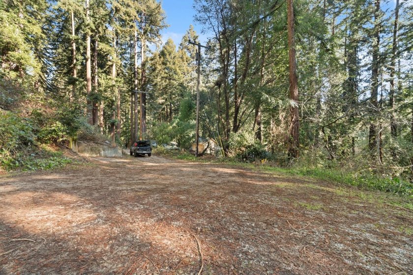 Offering end of the road privacy, this abundantly sunny vacant - photo 5
