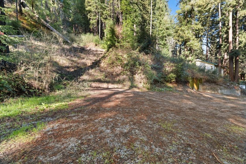 Offering end of the road privacy, this abundantly sunny vacant - photo 6