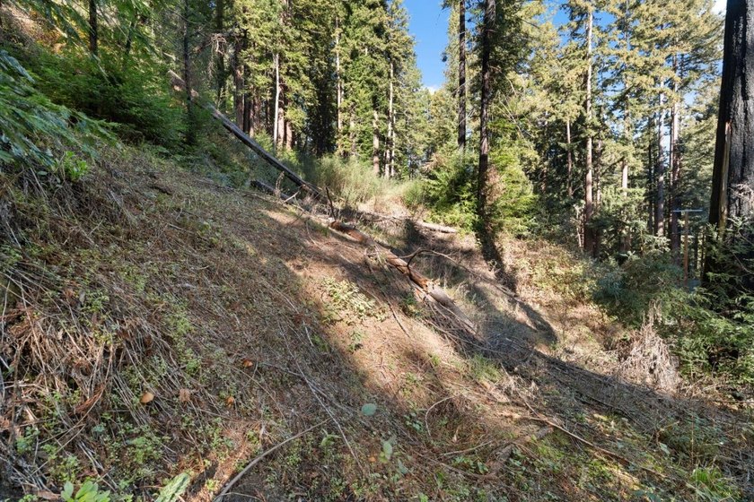 Offering end of the road privacy, this abundantly sunny vacant - photo 7
