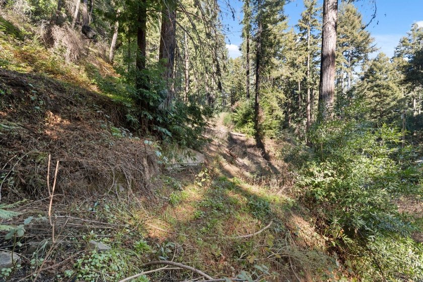 Offering end of the road privacy, this abundantly sunny vacant - photo 8