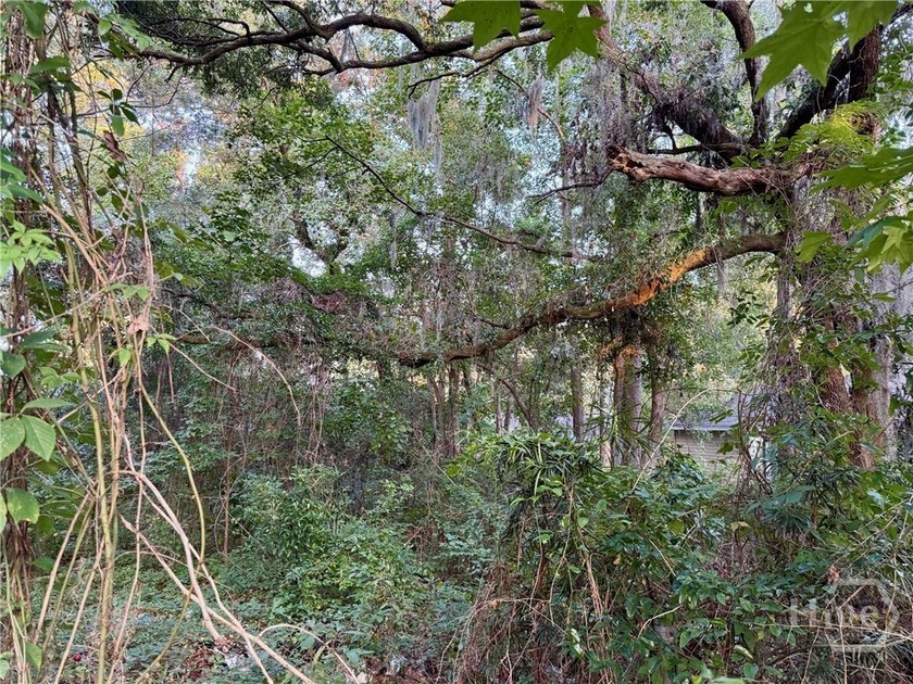 PRICE REDUCED! Searching for a buildable lot in Savannah? - photo 3