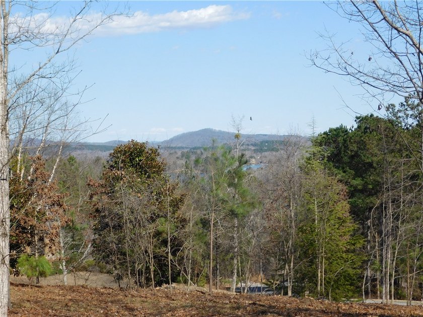 Short range Mountain and Lake views. Very gentle build site with - photo 3
