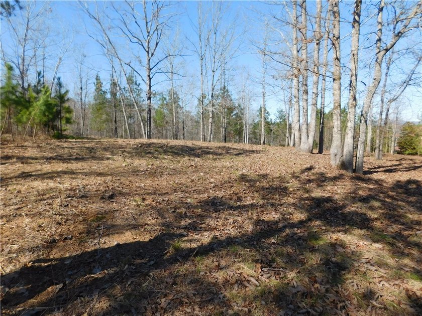 Short range Mountain and Lake views. Very gentle build site with - photo 5