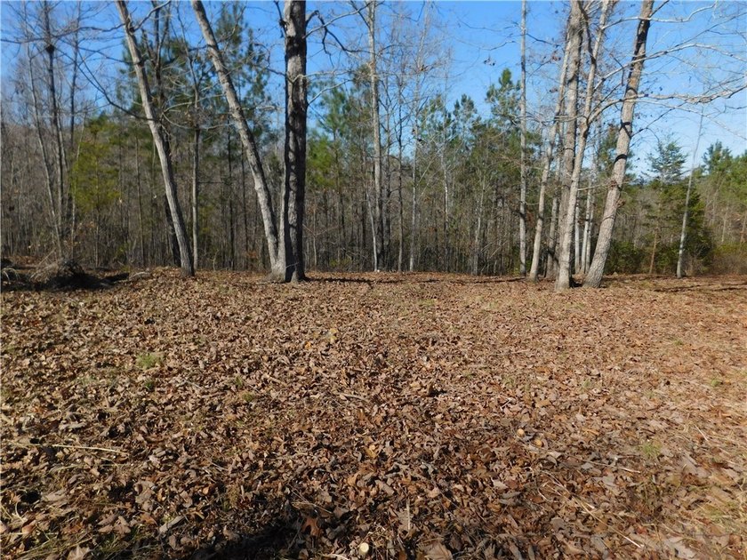 Short range Mountain and Lake views. Very gentle build site with - photo 8