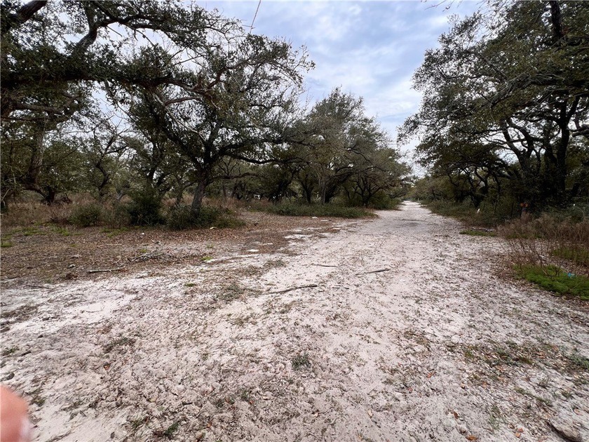 Prime 10.2 Acres of undeveloped blank canvas in Rockport city - photo 4