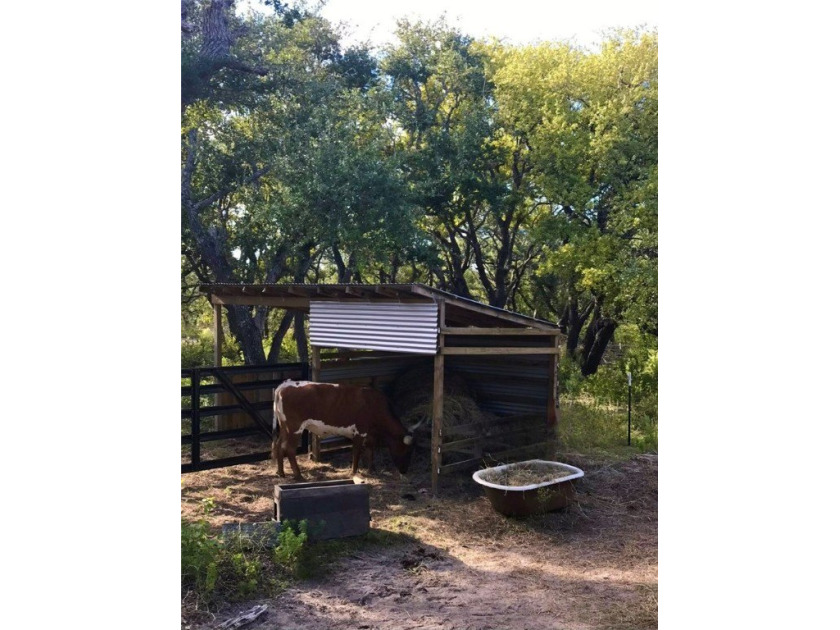 Prime 10.2 Acres of undeveloped blank canvas in Rockport city - photo 6