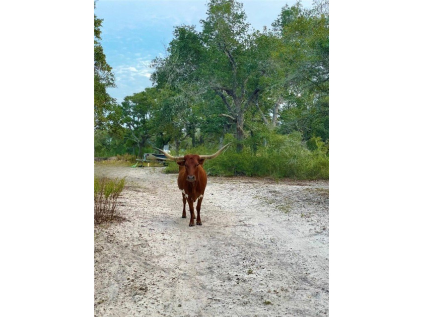 Prime 10.2 Acres of undeveloped blank canvas in Rockport city - photo 7