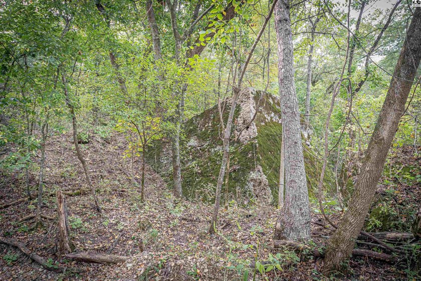 Just outside of Independence, Kansas sits 286+/- acre timber and - photo 11