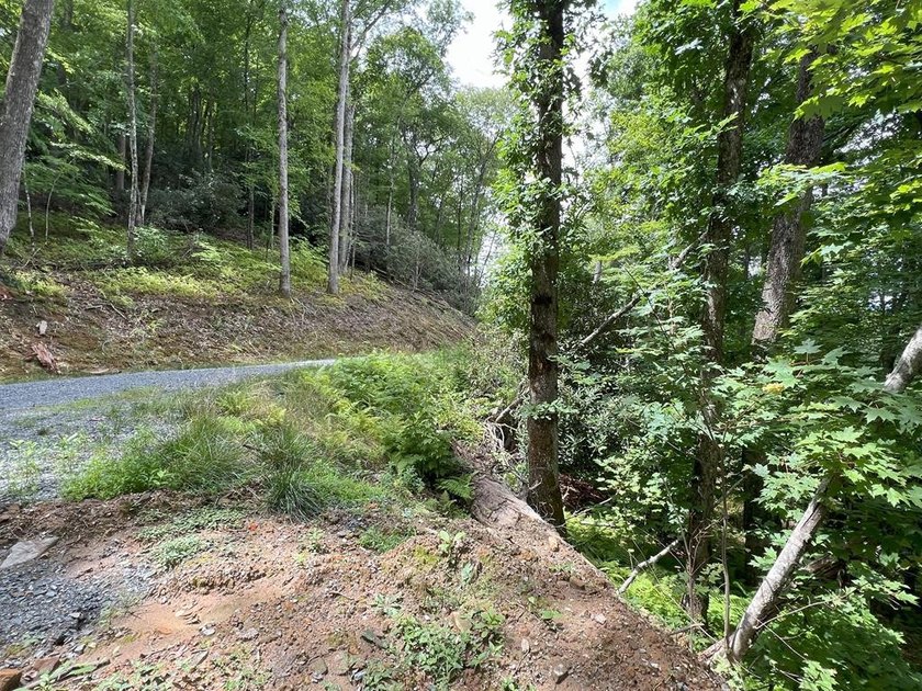 Unique 10.5 ACRES Nestled(lakefront) acres in the serene, wooded - photo 18
