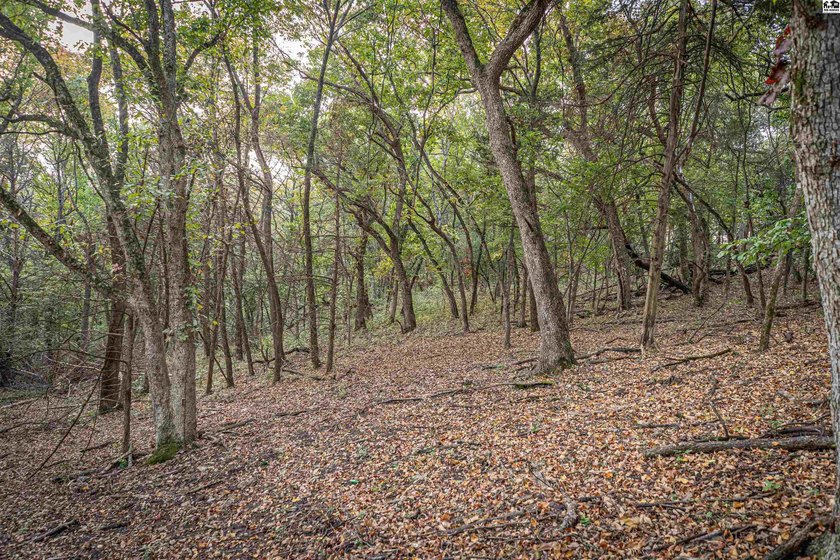 Just outside of Independence, Kansas sits 286+/- acre timber and - photo 20
