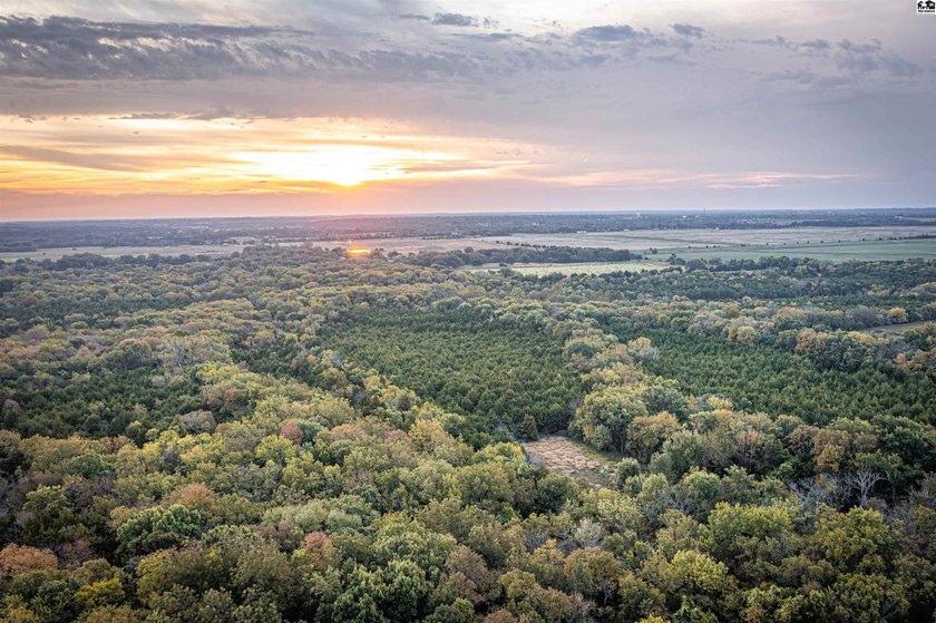 Just outside of Independence, Kansas sits 286+/- acre timber and - photo 31