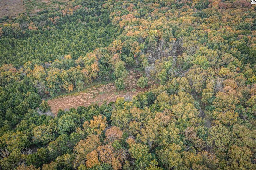 Just outside of Independence, Kansas sits 286+/- acre timber and - photo 34