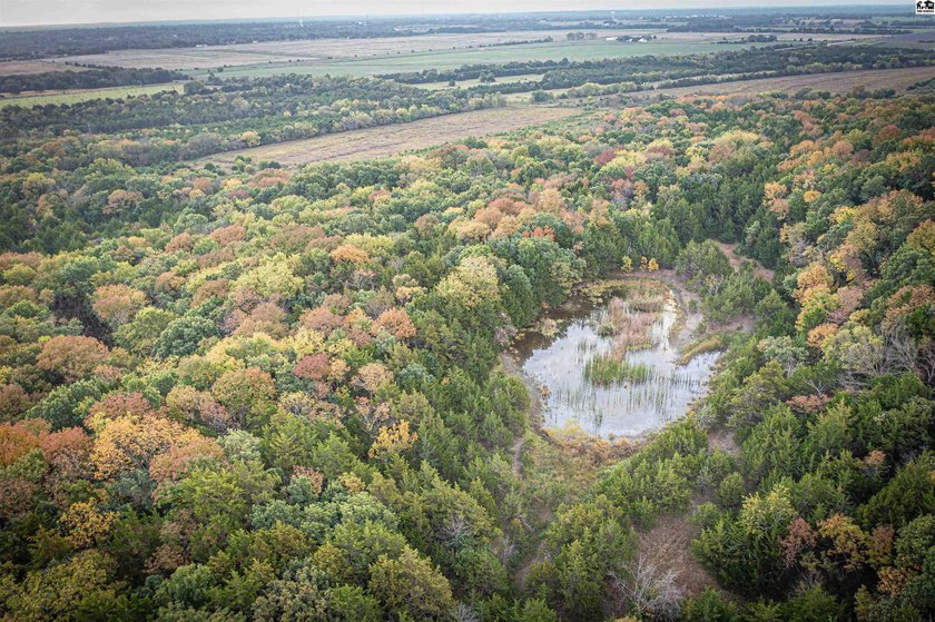 Just outside of Independence, Kansas sits 286+/- acre timber and - photo 35