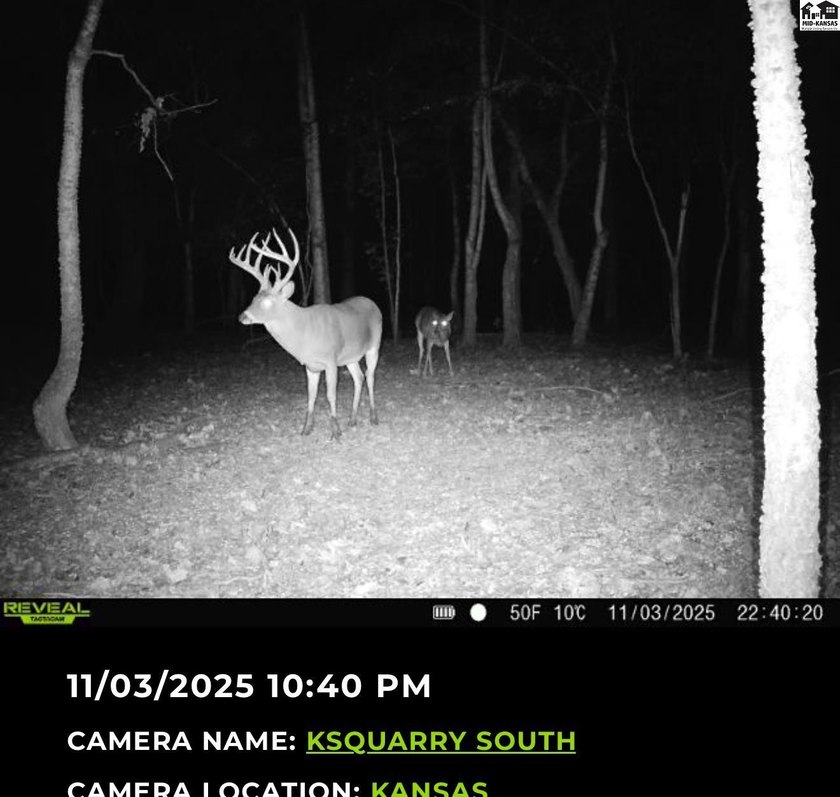 Just outside of Independence, Kansas sits 286+/- acre timber and - photo 38