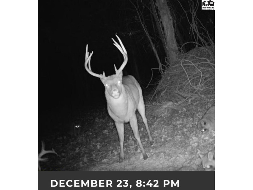 Just outside of Independence, Kansas sits 286+/- acre timber and - photo 43
