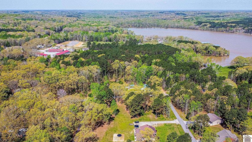 Whether you're dreaming of building your forever lakefront home - photo 3