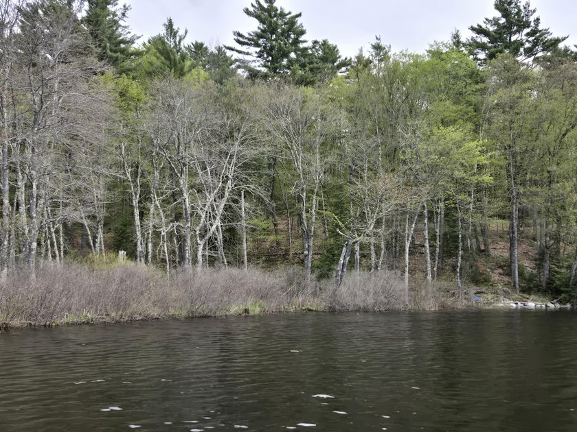 Boat or snowmobile access only. This southerly facing 1.8 acre - photo 11