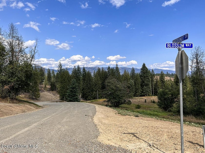 Estate Lot 8 is a large 18.19-acre parcel that has breathtaking - photo 27