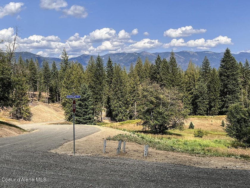 Estate Lot 8 is a large 18.19-acre parcel that has breathtaking - photo 28