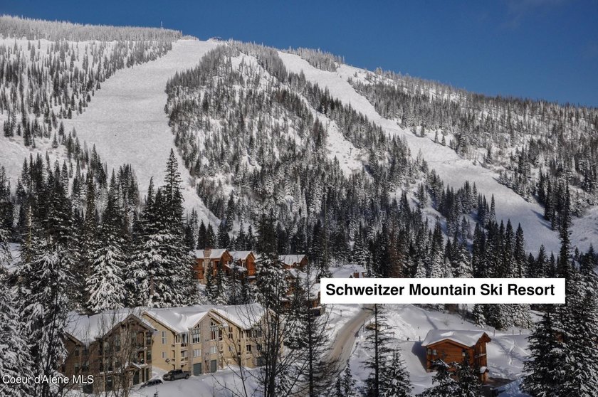 Estate Lot 8 is a large 18.19-acre parcel that has breathtaking - photo 37