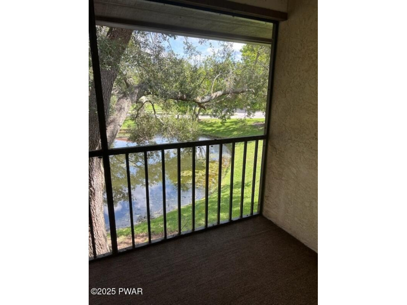 2611 Hammock Ct, Clearwater, FL 33761 in Hammock Pine - photo 12