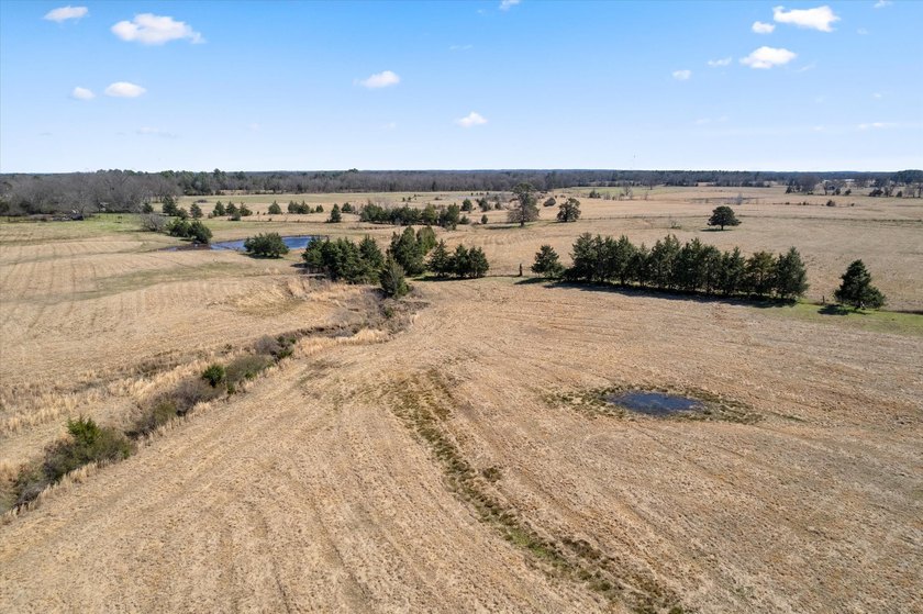 Escape to Tranquil Country Living! Build Your Dream Home on - photo 14