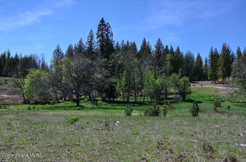 Become part of the exclusive, low-density, gated waterfront - photo 21