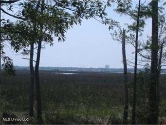 6+ Acres with Breathtaking Big Lake Views - Reduced Price! - photo 2