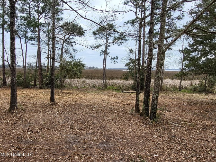 6+ Acres with Breathtaking Big Lake Views - Reduced Price! - photo 4